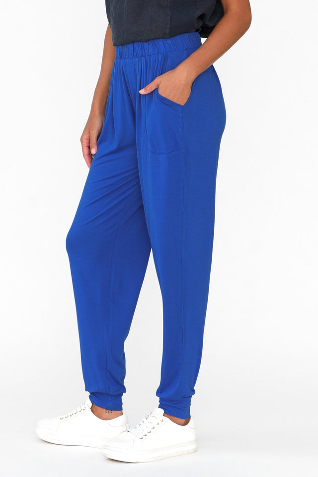 Cobalt Weekend Pants image 4