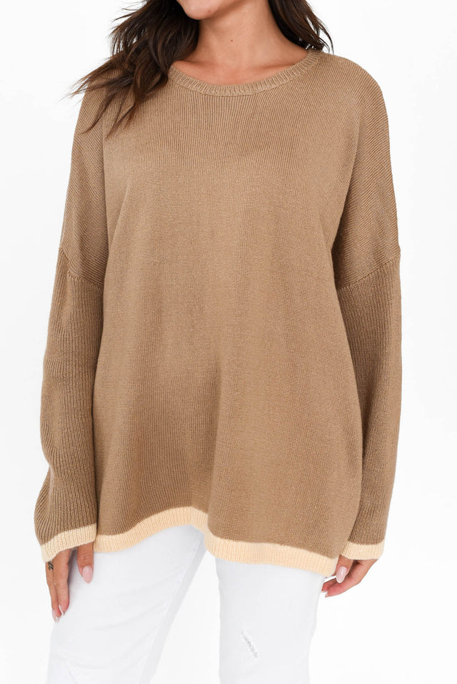 Coralie Taupe Contrast Knit Sweater image 7