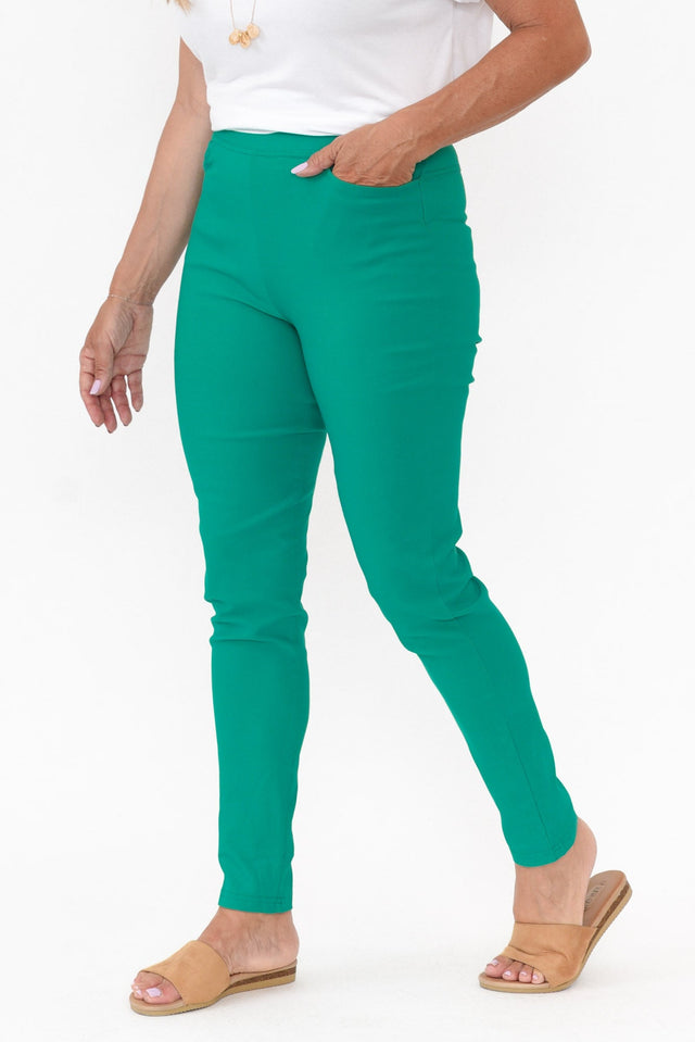 Dixon Teal Cotton Stretch Pants image 4